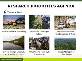 CIFOR and Global Comparative study on REDD+ 