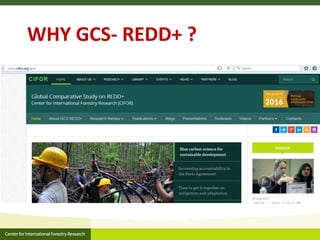 CIFOR and Global Comparative study on REDD+ 
