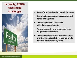 CIFOR and Global Comparative study on REDD+ 