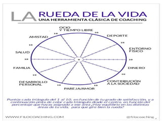 19
LA RUEDA DE LA VIDA
 