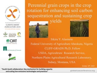 Perennial grain crops in the crop
rotation for enhancing soil carbon
sequestration and sustaining crop
yields
Sikiru Y. Alasinrin
Federal University of Agriculture Abeokuta, Nigeria
CLIFF-GRADS Ph.D. Fellow
USDA, Agricultrure Research Service,
Northern Plains Agricultural Research Laboratory,
Sidney, Montana, USA
“South-South collaboration: Key mechanism for building capacity
and scaling low-emissions technologies and practices”
October 10th, 2019
 
