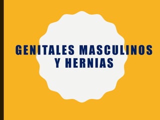 GENITALES MASCULINOS
Y HERNIAS
 