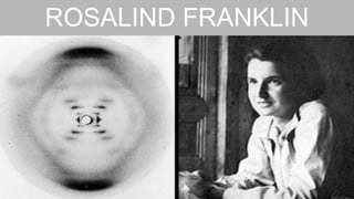 ROSALIND FRANKLIN
 