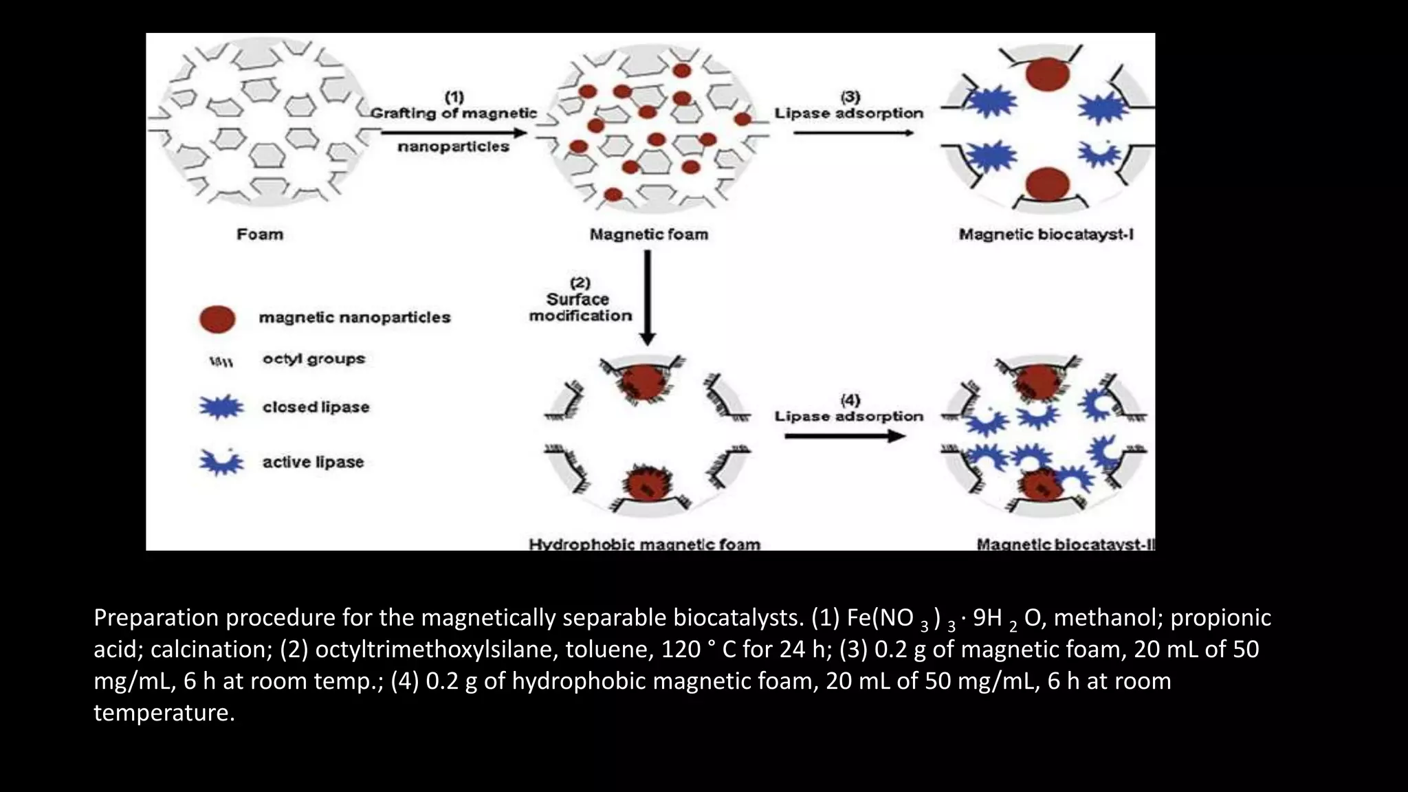 Preparation procedure for the magnetically separable biocatalysts. (1) Fe(NO 3 ) 3 · 9H 2 O, methanol; propionic
acid; calcination; (2) octyltrimethoxylsilane, toluene, 120 ° C for 24 h; (3) 0.2 g of magnetic foam, 20 mL of 50
mg/mL, 6 h at room temp.; (4) 0.2 g of hydrophobic magnetic foam, 20 mL of 50 mg/mL, 6 h at room
temperature.
 