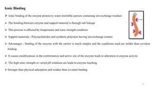 Ionic Binding
 Ionic binding of the enzyme protein to water-insoluble carriers containing ion-exchange residues
 The bonding between enzyme and support material is through salt linkage
 This process is affected by temperature and ionic strength condition
 Support materials - Polysaccharides and synthetic polymers having ion-exchange centers
 Advantages - binding of the enzyme with the carrier is much simpler and the conditions used are milder than covalent
binding
 It causes modifications in the conformation and active site of the enzyme leads to alteration in enzyme activity
 The high ionic strength or varied pH solutions are leads to enzyme leaching
 Stronger than physical adsorption and weaker than covalent binding
13
 