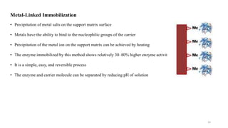 Metal-Linked Immobilization
• Precipitation of metal salts on the support matrix surface
• Metals have the ability to bind to the nucleophilic groups of the carrier
• Precipitation of the metal ion on the support matrix can be achieved by heating
• The enzyme immobilized by this method shows relatively 30–80% higher enzyme activity
• It is a simple, easy, and reversible process
• The enzyme and carrier molecule can be separated by reducing pH of solution
14
 