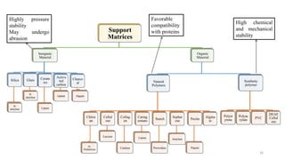 Support
Matrices
Inorganic
Material
Silica
α-
amylase
Ceram
ics
Lipase
Glass
α-
amylase
Activa
ted
carbon
Lipase
Charco
al
Papain
Organic
Material
Natural
Polymers
Chitos
an
D-
Hydantoise
Cellul
ose
Laccase
Collag
en
Catalase
Carrag
eenans
Lipase
Starch
Perocidase
Sephar
ose
Amylase
Pectin
Papain
Algina
te
Synthetic
polymer
Polyst
yrene
Polyac
rylate
PVC
DEAE
Cellul
ose
16
Highly pressure
stability
May undergo
abrasion
Favorable
compatibility
with proteins
High chemical
and mechanical
stability
 