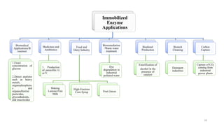 Immobilized
Enzyme
Applications
Biomedical
Applications/B
iosensor
1.Exact
concentration of
glucose
2.Detect analytes
such as heavy
metals,
organophosphoru
s and
organochlorine
pesticides,
glycoalkaloids,
and insecticides
Medicines and
Antibiotics
1. Production
of penicillin G
or V.
Food and
Dairy Industry
Making
Lactose-Free
Milk
High-Fructose
Corn Syrup Fruit Juices
Bioremediation
/Waste water
treatment
Dye
degradation in
industrial
polluted water
Biodiesel
Production
Esterification of
alcohol in the
presence of
catalyst
Biotech
Cleaning
Detergent
industries
Carbon
Capture
Capture of CO2
coming from
industrial
power plants
18
 
