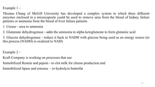 Example 1 –
Thomas Chang of McGill University has developed a complex system in which three different
enzymes enclosed in a microcapsule could be used to remove urea from the blood of kidney failure
patients or ammonia from the blood of liver failure patients
1. Urease - urea to ammonia
2. Glutamate dehydrogenase - adds the ammonia to alpha ketoglutarate to form glutamic acid
3. Glucose dehydrogenase - reduce it back to NADH with glucose being used as an energy source (in
this process (NADH) is oxidized to NAD)
Example 2 –
Kraft Company is working on processes that use
Immobilized Rennin and pepsin - to clot milk for cheese production and
Immobilized lipase and esterase - to hydrolyze butterfat
20
 