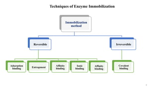 Immobilization
method
Reversible
Adsorption
binding
Ionic
binding
Affinity
binding
Affinity
binding
Entrapment
Irreversible
Covalent
binding
Techniques of Enzyme Immobilization
6
 