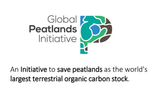 An Initiative to save peatlands as the world's
largest terrestrial organic carbon stock.
 