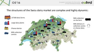 The structures of the Swiss dairy market are complex and highly dynamic:
23’500 dairy farms
Large dairy plants
Milk collec...