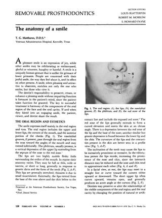 THE ANATOMY OF SMILE | PDF