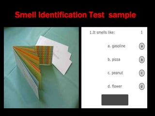 Smell Identification Test Example Anatomy and physiology of nose and PNS | PPT