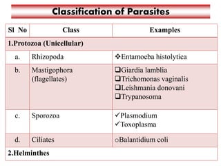 Intestinal Parasites Classification 1. Entamoeba histolytica | PPTX