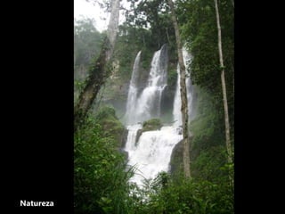Natureza
 