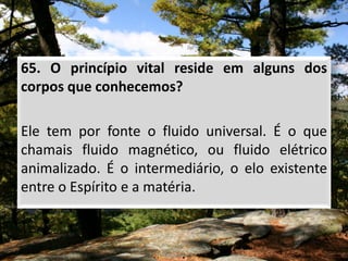 65. O princípio vital reside em alguns dos
corpos que conhecemos?
Ele tem por fonte o fluido universal. É o que
chamais fluido magnético, ou fluido elétrico
animalizado. É o intermediário, o elo existente
entre o Espírito e a matéria.
 