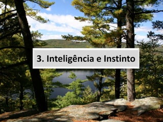 3. Inteligência e Instinto
 
