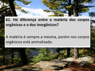 61. Há diferença entre a matéria dos corpos
orgânicos e a dos inorgânicos?
A matéria é sempre a mesma, porém nos corpos
orgânicos está animalizada.
 