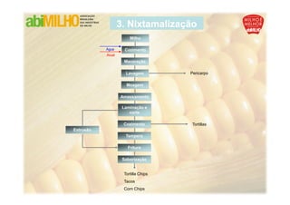 3. Nixtamalização
                        Milho

           Água       Cozimento
           Álcali
                     Maceração

                      Lavagem         Pericarpo

                      Moagem

                    Amassamento

                     Laminação e
                        corte

                     Cozimento        Tortillas
Extrusão
                      Tempera

                       Fritura

                     Saborização


                     Tortilla Chips
                     Tacos
                     Corn Chips
 