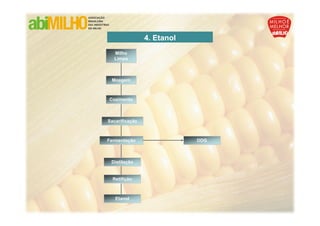 4. Etanol
  Milho
  Limpo



 Moagem



Cozimento



Sacarificação



Fermentação                 DDG



 Distilação


  Retifição



   Etanol
 
