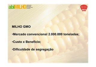 MILHO GMO

•Mercado convencional 2.000.000 toneladas;

•Custo x Benefício;

•Dificuldade de segregação
 