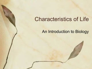 Characteristics of Life An Introduction to Biology 