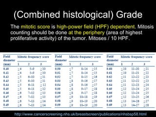 (Combined histological) Grade The  mitotic score  is  high-power field  (HPF)  dependent . Mitosis counting should be done  at the periphery  (area of highest proliferative activity) of the tumor . Mitoses / 10 HPF. http://www.cancerscreening.nhs.uk/breastscreen/publications/nhsbsp58.html 