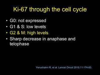 Ki-67 through the cell cycle G0: not expressed G1 & S: low levels G2 & M: high levels Sharp decrease in anaphase and telophase Yerushalmi R, et al. Lancet Oncol 2010;11:174-83. 
