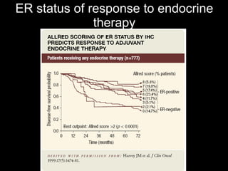 ER status of response to endocrine therapy 