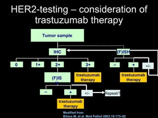 HER2-testing – consideration of trastuzumab therapy Modified from Bilous M, et al. Mod Pathol 2003;16:173–82 ( F ) IS H T umo r sample trastuzumab   t herapy + – 2+ 3+ 1+ 0 + – ( F ) ISH IHC trastuzumab   t herapy trastuzumab   t herapy +/- +/- Repeat/? 