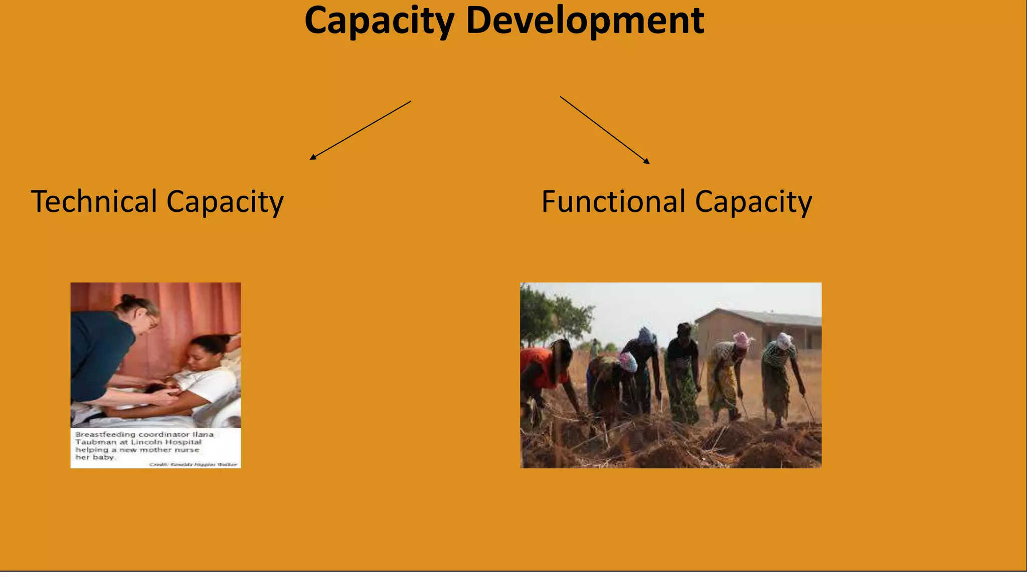 Capacity Development
Technical Capacity Functional Capacity
 