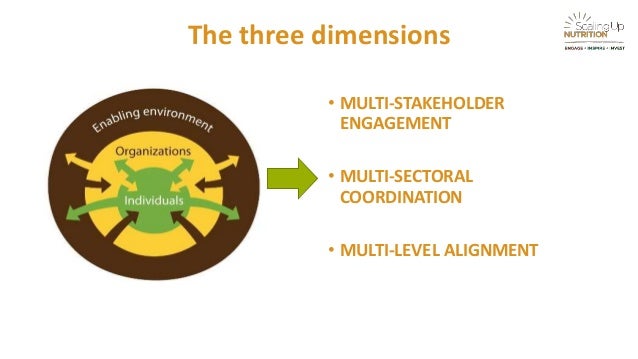 capacity development technical capacity functional capacity 5