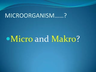 MICROORGANISM……?Micro and Makro?