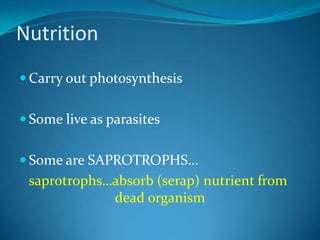 Nutrition Carry out photosynthesisSome live as parasitesSome are SAPROTROPHS…saprotrophs…absorb (serap) nutrient from    	                  dead organism