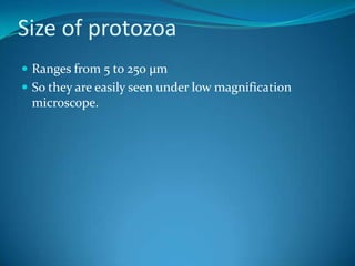 Size of protozoaRanges from 5 to 250 µmSo they are easily seen under low magnification microscope.