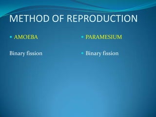 METHOD OF REPRODUCTIONAMOEBA	Binary fissionPARAMESIUMBinary fission