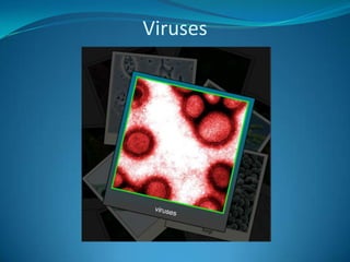 Viruses 