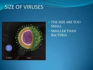 SIZE OF VIRUSESTHE SIZE ARE TOO SMALLSMALLER THAN BACTERIA