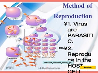 Method of
                             Reproduction
                                        •1. Virus
                                         are
                                         PARASITI
                                         C.
                                        •2.
                                         Reprodu
                                         ce in the
                  Bacteria_infection_movie_go!

07/08/09   1.1_Classificationofmicros
                                         HOST Review
 
