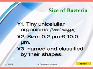 Size of Bacteria

           •1. Tiny unicelullar
            organisms (bersel tunggal)
           •2. Size: 0.2 µm – 10.0
            µm.
           •3. named and classified
            by their shapes.
07/08/09           1.1_Classificationofmicros   Review
 