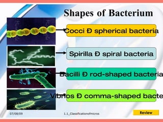 Shapes of Bacterium
              Cocci – spherical bacteria


                  Spirilla – spiral bacteria


             Bacilli – rod-shaped bacteria


           Vibrios – comma-shaped bacte

07/08/09      1.1_Classificationofmicros   Review
 