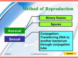 Method of Reproduction
                                        Binary fission

                                              Spores

    Asexual
                                Conjugation:
                                Transferring DNA to
     Sexual                     another bacterium
                                through conjugation
                                tube
07/08/09         1.1_Classificationofmicros              Review
 