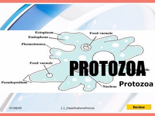 PROTOZOA
                                        Protozoa


07/08/09   1.1_Classificationofmicros      Review
 