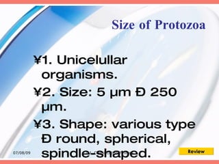 Size of Protozoa

           •1. Unicelullar
            organisms.
           •2. Size: 5 µm – 250
            µm.
           •3. Shape: various type
            – round, spherical,
07/08/09
            spindle-shaped.
                  1.1_Classificationofmicros   Review
 