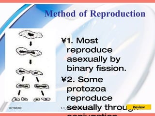 Method of Reproduction

              •1. Most
               reproduce
               asexually by
               binary fission.
              •2. Some
               protozoa
               reproduce
07/08/09       sexually throughReview
              1.1_Classificationofmicros
 