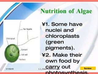 Nutrition of Algae
               •1. Some have
                nuclei and
                chloroplasts
                (green
                pigments).
               •2. Make their
                own food by
07/08/09
                carry out
           1.1_Classificationofmicros   Review
 