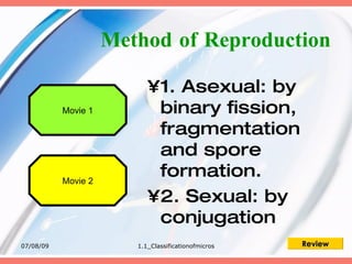 Method of Reproduction

                           •1. Asexual: by
           Movie 1          binary fission,
                            fragmentation
                            and spore
           Movie 2
                            formation.
                           •2. Sexual: by
                            conjugation
07/08/09                1.1_Classificationofmicros   Review
 