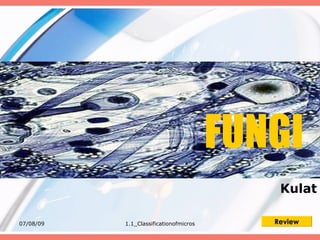 FUNGI
                                            Kulat

07/08/09   1.1_Classificationofmicros      Review
 