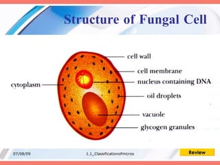 Structure of Fungal Cell




07/08/09      1.1_Classificationofmicros   Review
 